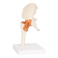 25200 Model kuka
